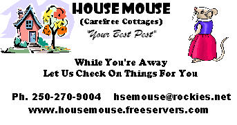 HouseMouse
